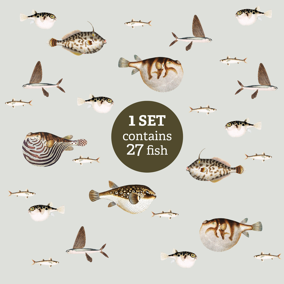 Puffer Fish Vintage Illustration Wall Decals
