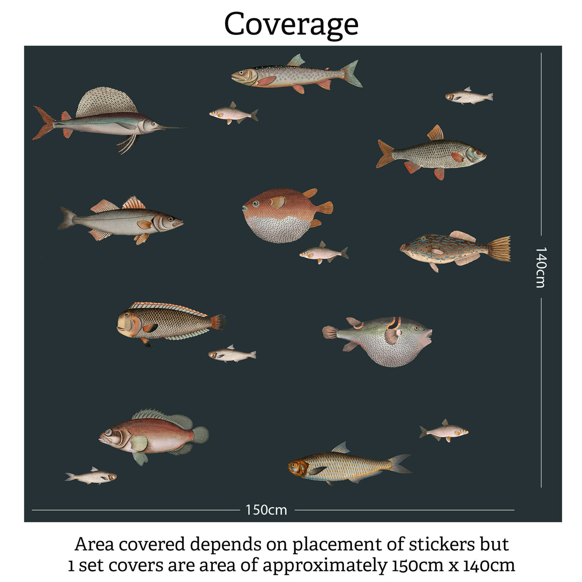 Vintage Fish Illustration Wall Stickers