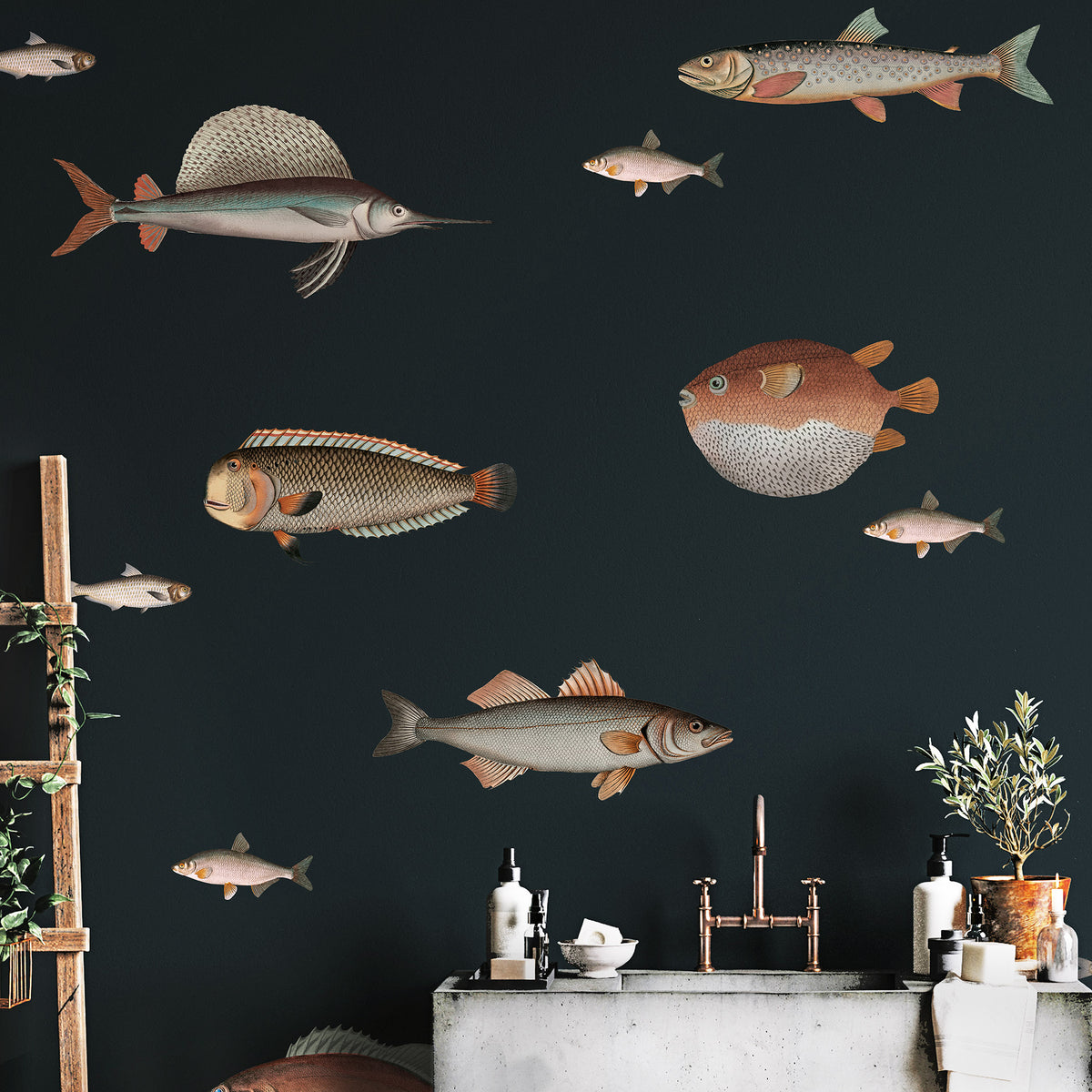 Vintage Fish Illustration Wall Stickers