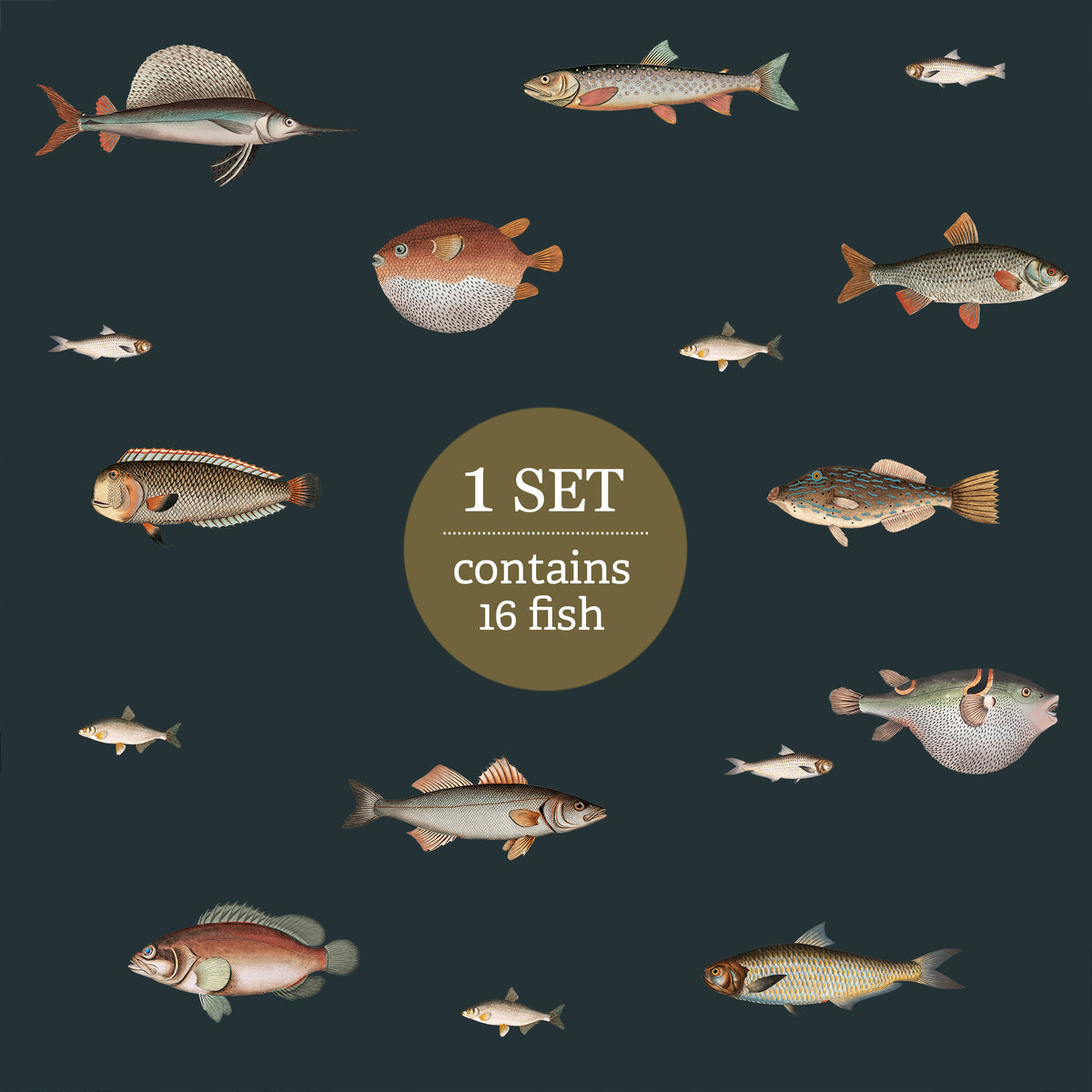Vintage Fish Illustration Wall Stickers