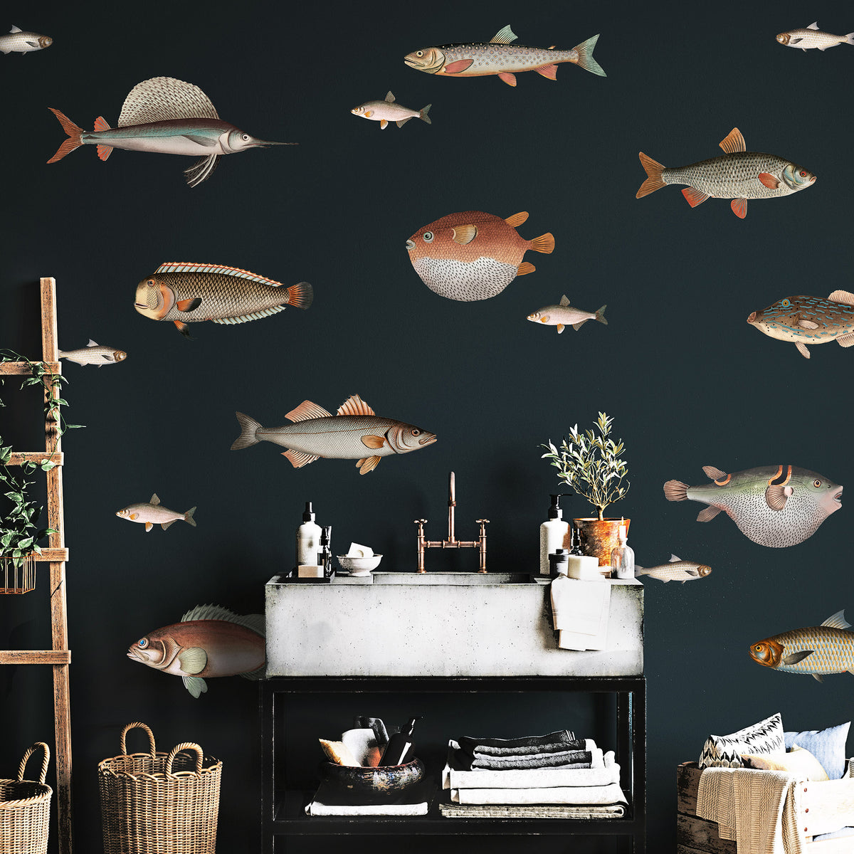Vintage Fish Illustration Wall Stickers
